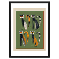 Striped Lemurs