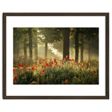 The poppy forest thumbnail