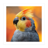 Cockatiel Parrot Close Up  (Print Only) thumbnail