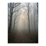 Ethereal Morning Light Breaking Through Dense Forest Fog (Print Only) thumbnail