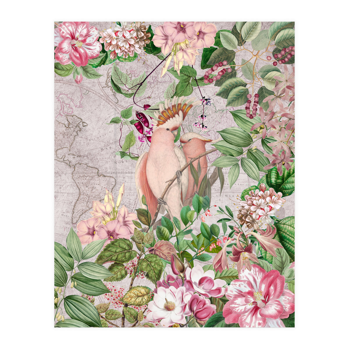 Parrot Exotic Jungle  (Print Only)