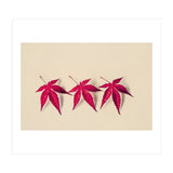 Dancing Leaves (Print Only) thumbnail
