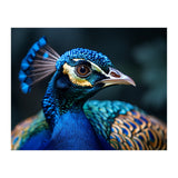 Peacock Head Close Up Majestic Blue Bird (Print Only) thumbnail