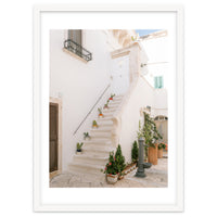 Stairs with cacti