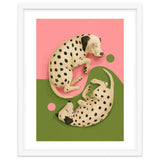 Yin And Yang Dalmatians thumbnail