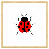 Lady Bug thumbnail