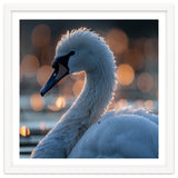 Close-up Shot of a Swan with Water Droplets thumbnail