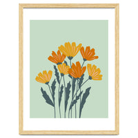 Orange and Yellow Flowers