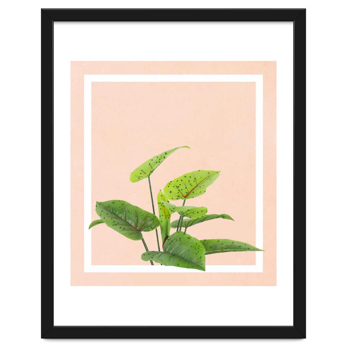 Botanical Art