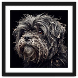 Old Dog 02 thumbnail