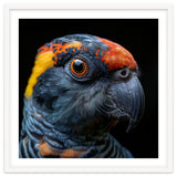 Close Up Of A Colorful Parrot Bird's Head thumbnail