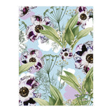 Kaya | Powder Blue Pastel Snowy | Vintage Botanical Floral Boho Garden | Spring Blossom (Print Only) thumbnail