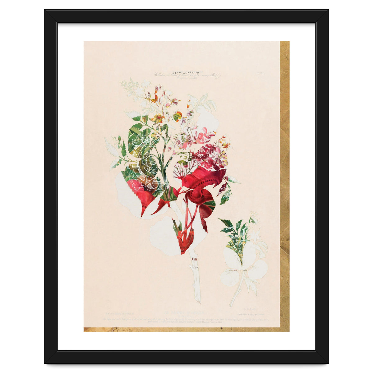 The First Plant · Aufbluehen