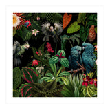 Moody Botanical Midnight Jungle Birds (Print Only) thumbnail