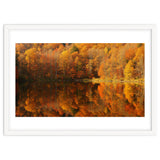 Autumn Reflections thumbnail