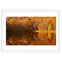 Autumn Reflections