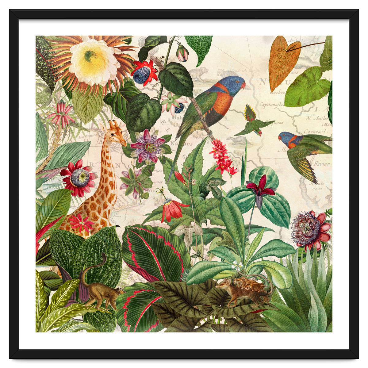 Exotic Lush Jungle And Wild Animals Landscape