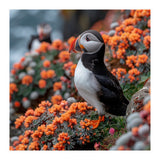 Atlantic Puffin Bird Perched On Orange Flowers (Print Only) thumbnail