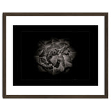 Backyard Flowers In Black And White No 81 with Border thumbnail