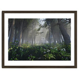 Art In The Forest thumbnail