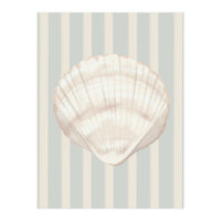 Sea shell (Print Only)