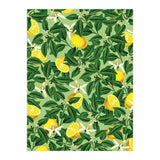 Lemonade Garden, Green Fresh Lemon Botanical Illustration, Vibrant Summer Tropical Fruit Nature (Print Only) thumbnail