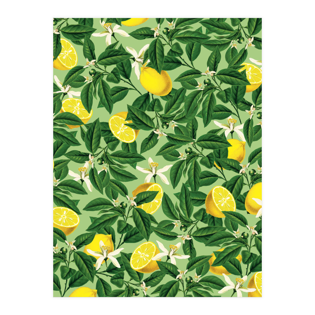 Lemonade Garden, Green Fresh Lemon Botanical Illustration, Vibrant Summer Tropical Fruit Nature (Print Only)