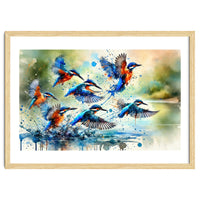 Kingfishers In Flight