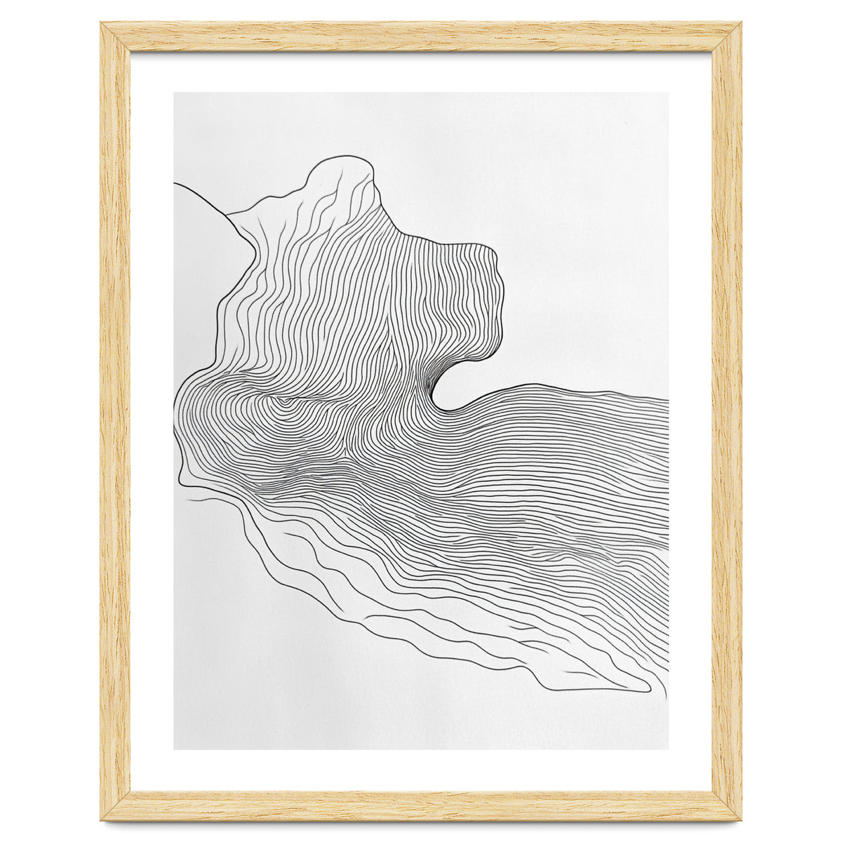 Abstract Black And White Organic Flowing Lines Pattern