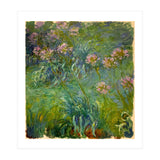 Claude Monet (1840-1926). Agapanthus. (Print Only) thumbnail