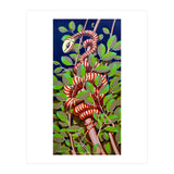 Eden (Print Only) thumbnail