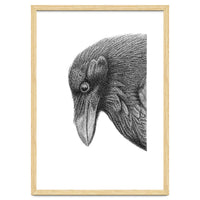 Huginn