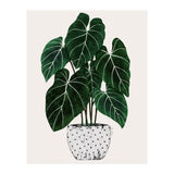 Philodendron Plant (Print Only) thumbnail