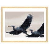 Migrating Herons thumbnail