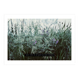 Photography - Summer Garden (Print Only) thumbnail
