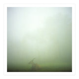 Silence of breath - 06 (Print Only) thumbnail