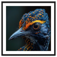 Close Up Of A Colorful Bird Head And Eye