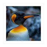 Close Up Of King Penguin In The Rain (Print Only) thumbnail