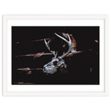 Deer Skull thumbnail