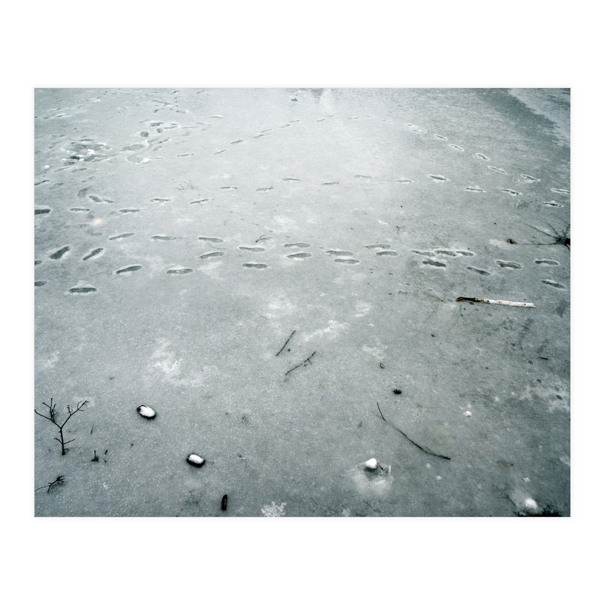 Frozen ice pond (Print Only)