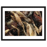 Fish01 thumbnail