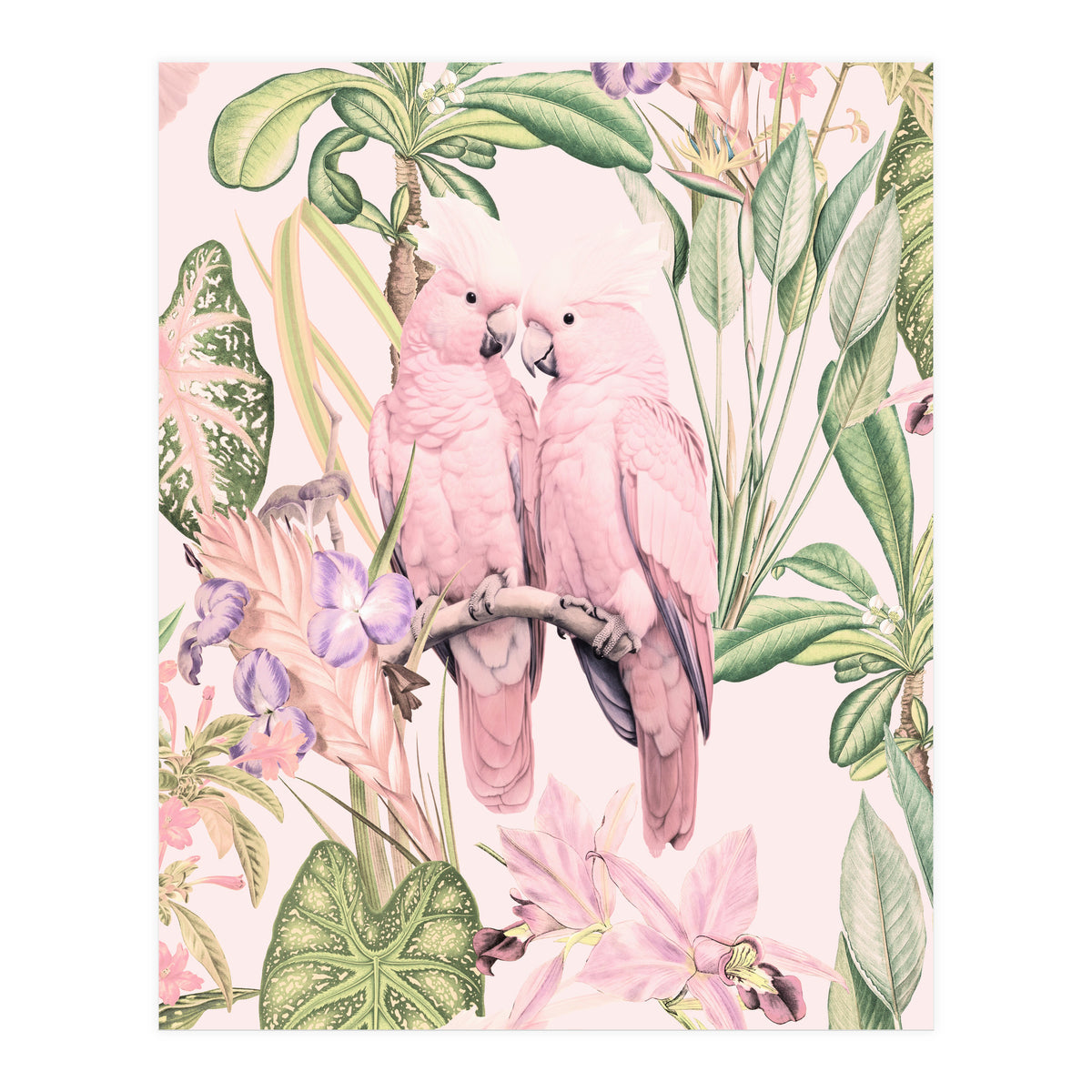 Pink Cockatoos in Love (Print Only)
