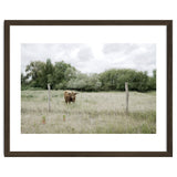 Cow in the farm thumbnail