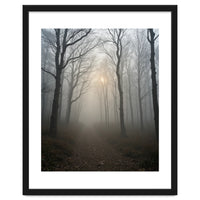 Ethereal Morning Light Breaking Through Dense Forest Fog