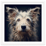 Old Dog 07 thumbnail