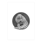 Pangolin no. 1 (Print Only) thumbnail