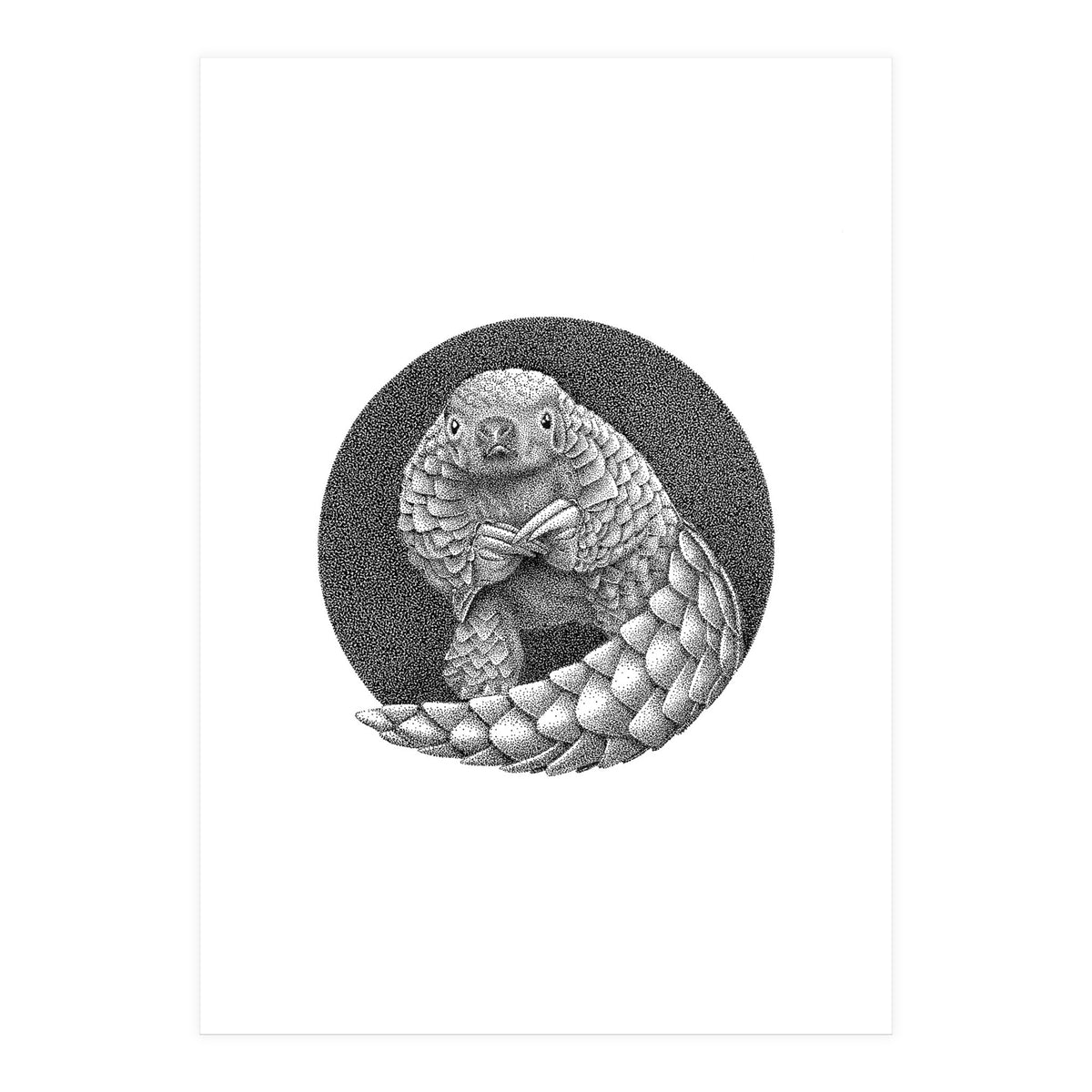 Pangolin no. 1 (Print Only)