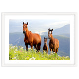 Three Horses thumbnail