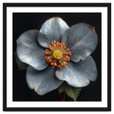 Hellebore | Silver Magic thumbnail