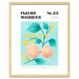 Magical Flowers No.23 Apricot Blossom thumbnail